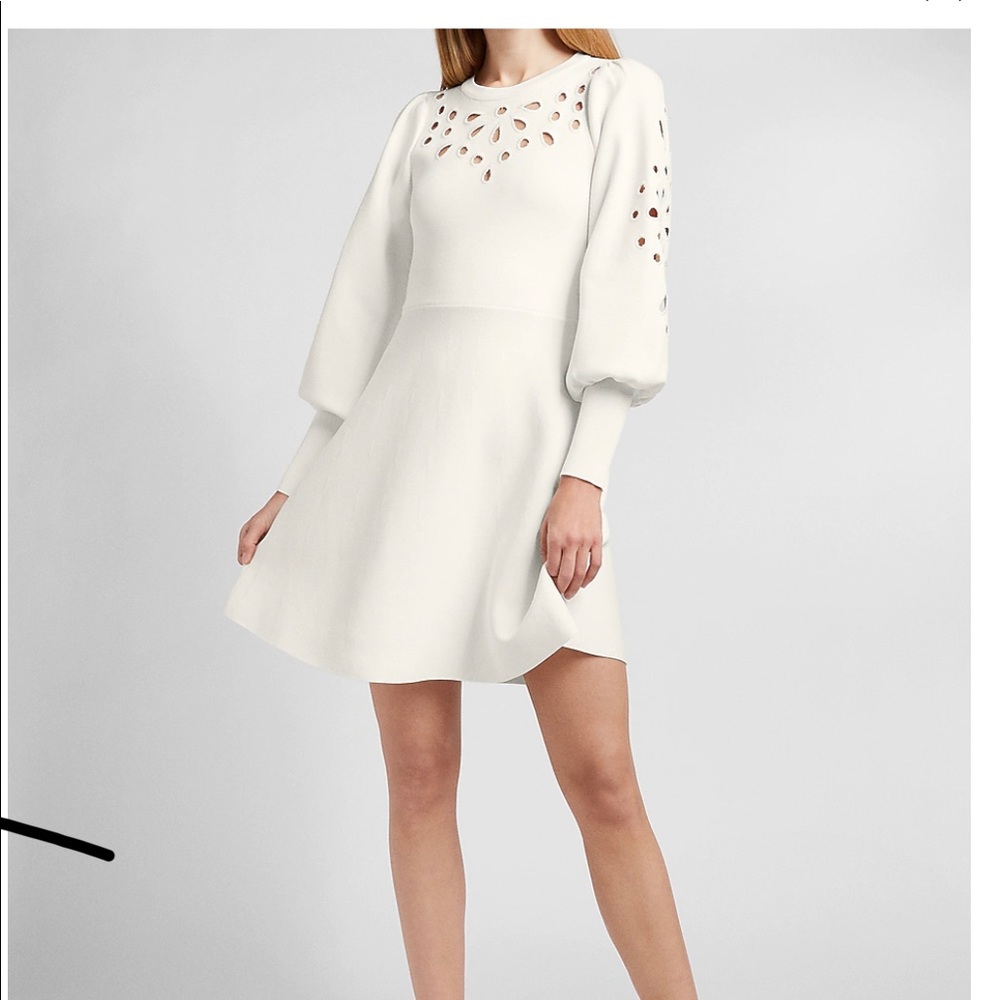 Express Eyelet Sweater Dress